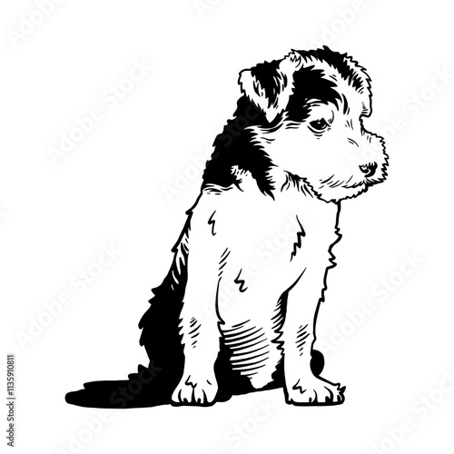 Obraz na plátně Puppy Lakeland Terrier - Dog Breed, Puppy Breed Vector File, detailed vector