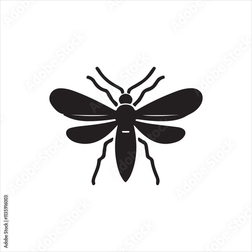 butterfly on a white background