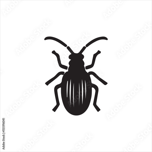 state potato beetle