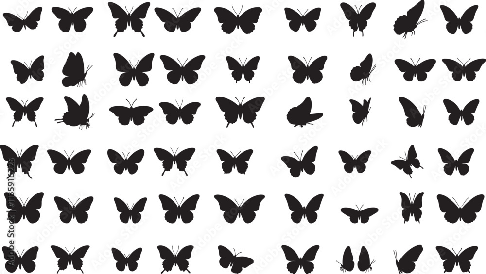 Naklejka premium Vector Butterfly Silhouette