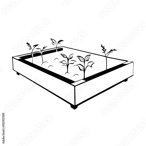 Line drawing of garden raised bed showcasing young plants growing