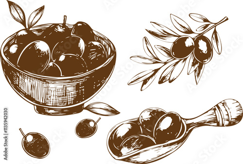 Olive hand drawn vector sketch set in doodle style isolated on white background. Olive line art set of branch,Plate with olives , olives on a stick,Olive spatula