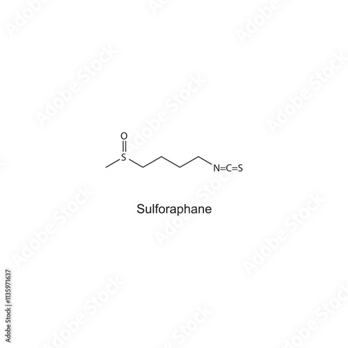 Sulforaphane skeletal structure diagram.Plant alkaloid compound molecule scientific illustration. photo