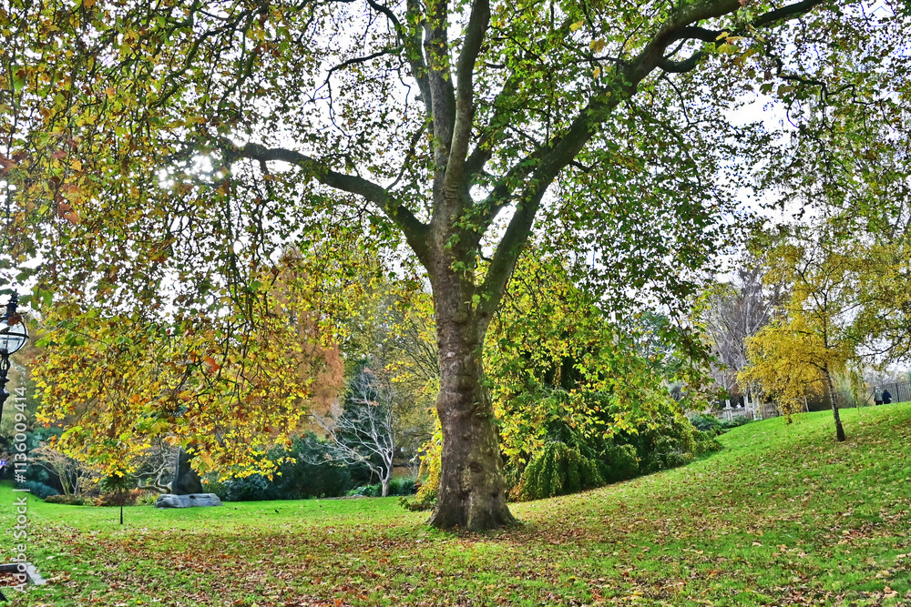 Naklejka premium Londra, Autunno e foliage ad Hide Park - Regno Unito 