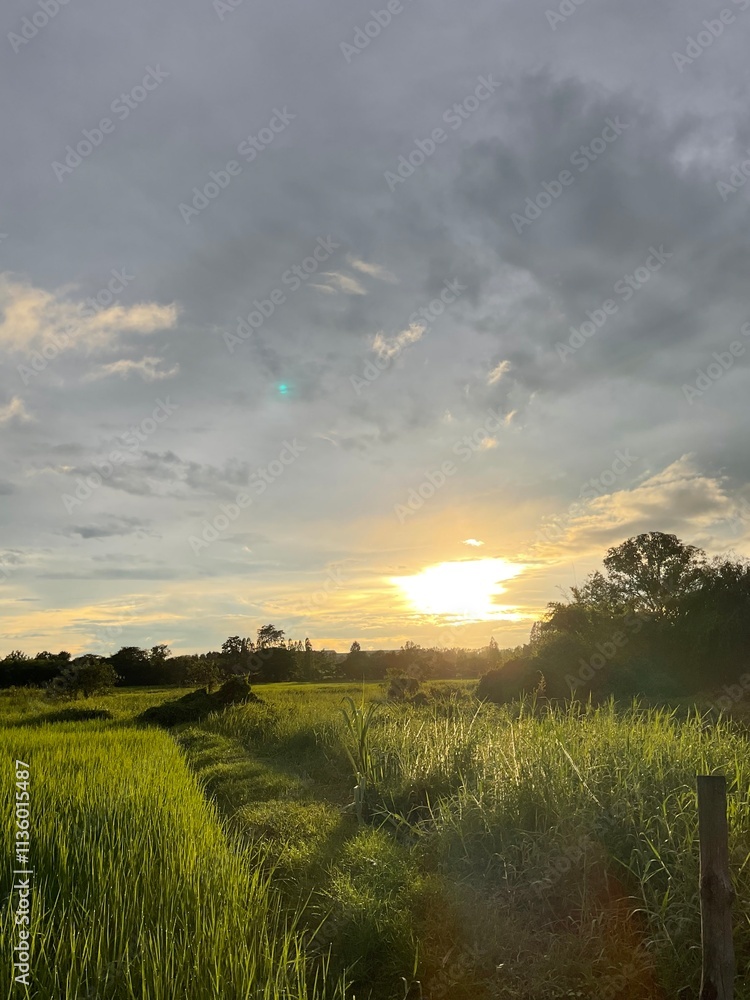 Obraz premium sunset over the river