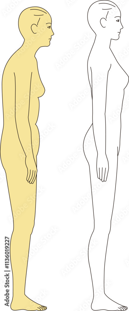 猫背の女性ときれいな立ち姿の女性. 側面の全身のイラスト 猫背の女性ときれいな立ち姿の女性. 側面の全身のイラスト