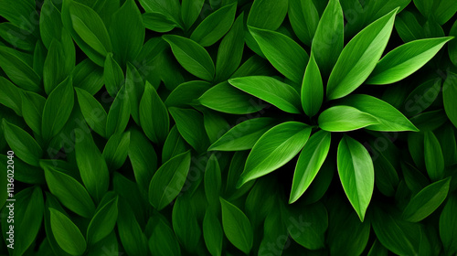 Wallpaper Mural Emerald Canopy: Lush Green Leaves Texture  Torontodigital.ca