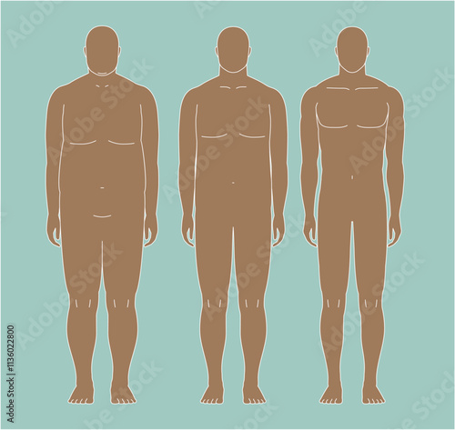 肥満から筋肉質の体型へ変化、ビフォーアフターの男性。　正面から見た男性のイラスト
