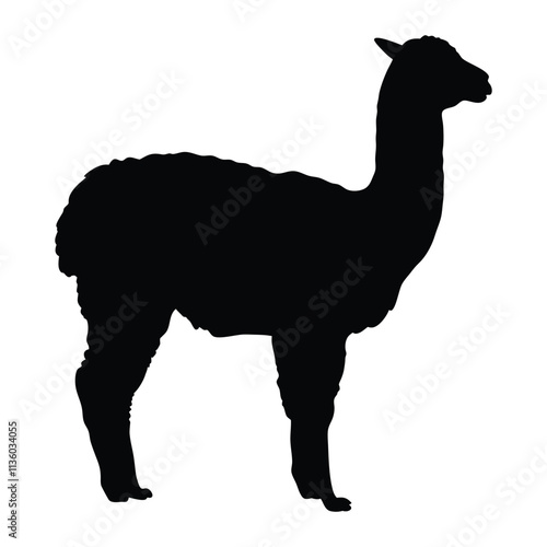 Alpaca silhouette isolated on a white background
