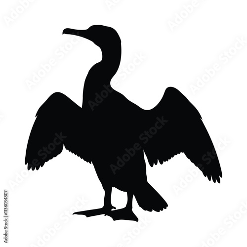 Cormorant black silhouette illustration