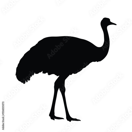 Emu vector silhouette illustration