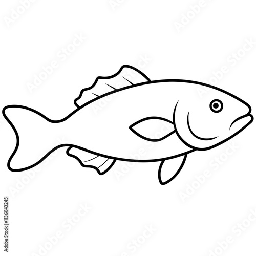 fish isolated on white