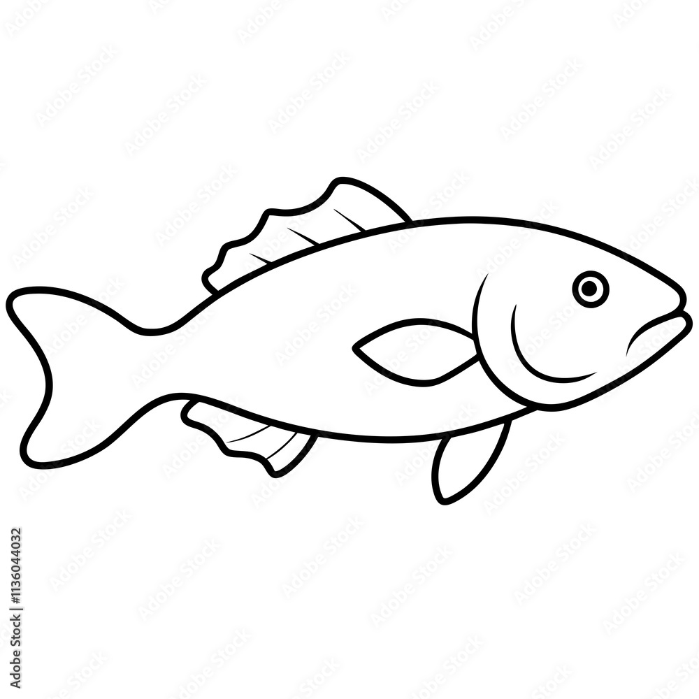 illustration of a fish illustration of a fish