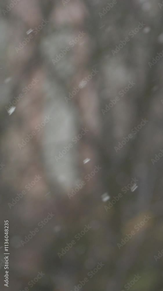 Snowflakes gently falling through tree branches on a winter day. Vertical. Vertical video background. Snowflakes gently falling through tree branches on a winter day. Vertical. Vertical video background.