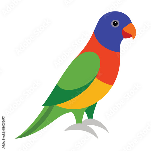 rainbow lorikeet vector illustration