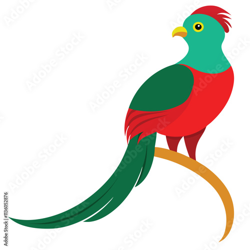 resplendent quetzal vector illustration