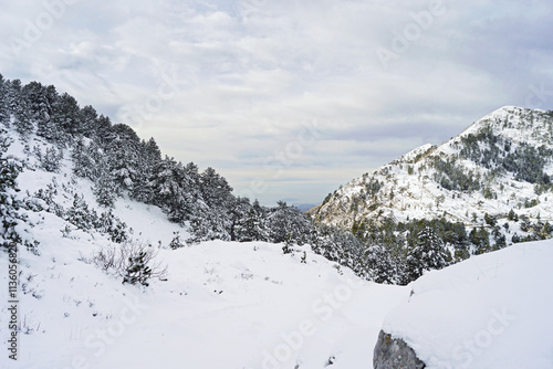 Orjen Sedlo pass in western Montenegro on a winter day: landscape with snowy slope, snow-covered coniferous forest, mountain, Adriatic Sea with Croatian islands in the distance and cloudy sky.