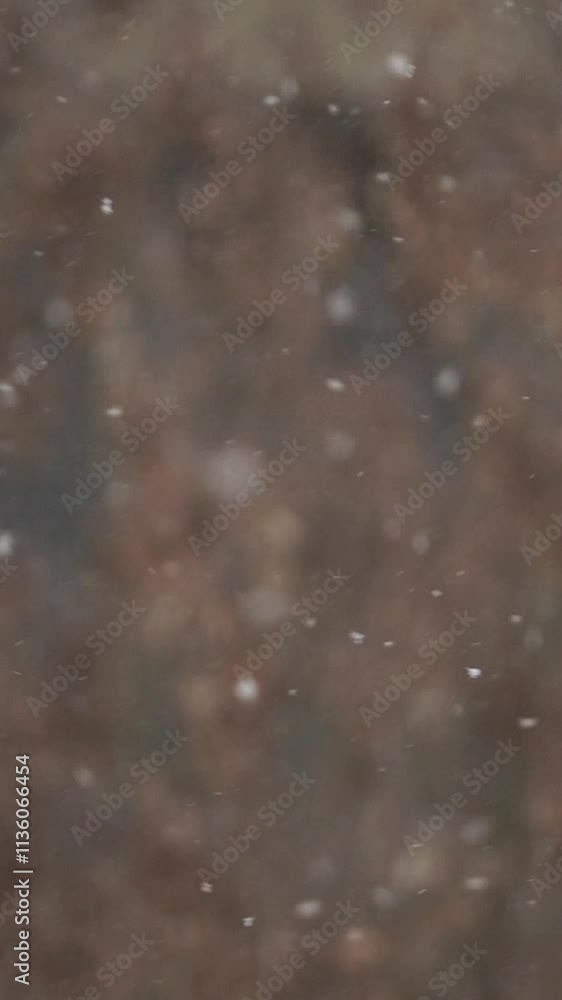 Snowflakes gently fall in a serene winter landscape during a quiet snowfall. Vertical. Vertical video background. Snowflakes gently fall in a serene winter landscape during a quiet snowfall. Vertical. Vertical video background.