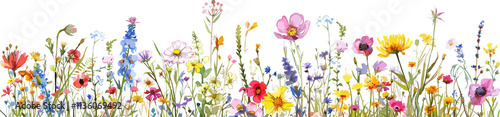 Watercolor Flower Border Clipart Vector Illustration
