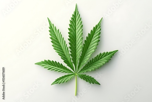 Single Marijuana Leaf Isolated on White Background