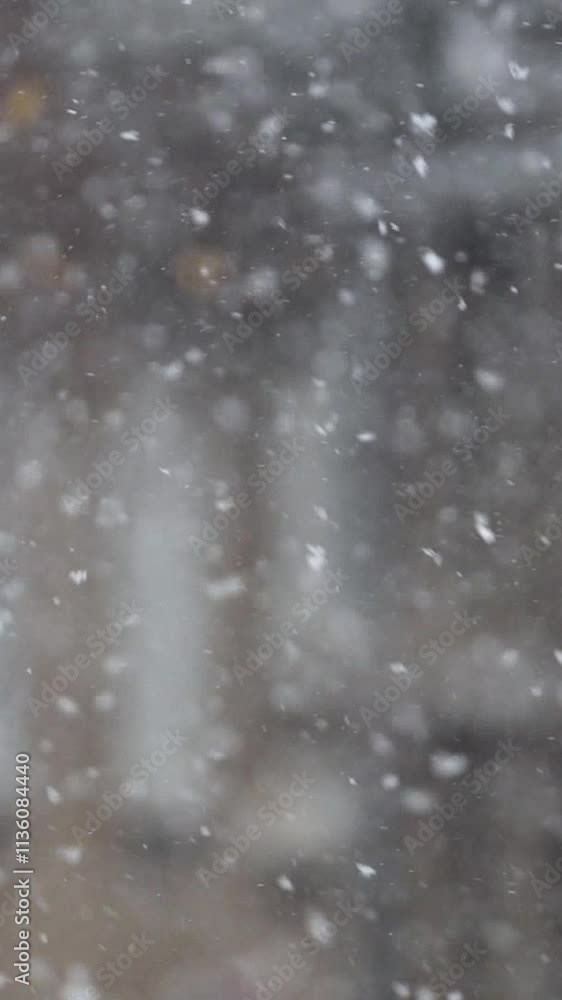 Snow falls softly in a winter wonderland creating a serene atmosphere. Vertical. Vertical video background. Snow falls softly in a winter wonderland creating a serene atmosphere. Vertical. Vertical video background.