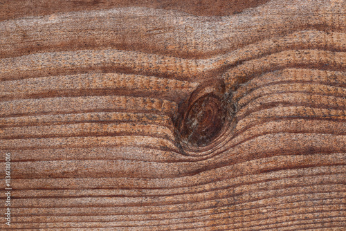 A knot on a pine board photo