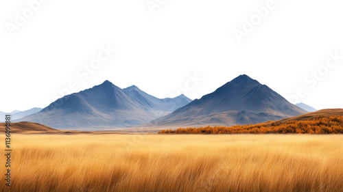 A serene landscape featuring distant mountains under a dark sky, with expansive golden grasslands in the foreground.