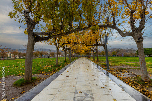 Obraz na płótnie Autumn view of tree-lined avenue in Konak Square in Izmir - Türkiye. w salonie