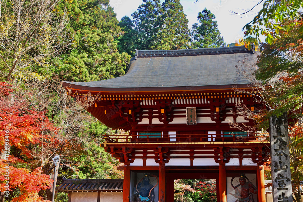 秋の室生寺・二王門(奈良県・宇陀市) 秋の室生寺・二王門(奈良県・宇陀市)