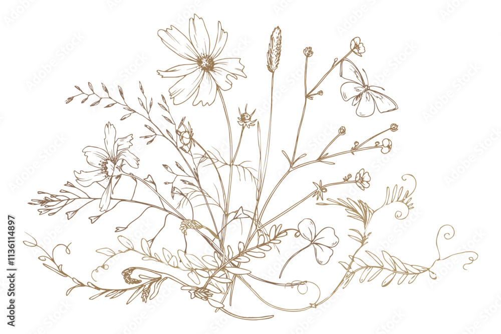 Field, meadow, wild flowers and herbs clover, cosmos, chamomile and bumblebee. Line art is a simple hand-drawn illustration in beige, ochre, brown ink. Bouquet flowers vector EPS Field, meadow, wild flowers and herbs clover, cosmos, chamomile and bumblebee. Line art is a simple hand-drawn illustration in beige, ochre, brown ink. Bouquet flowers vector EPS