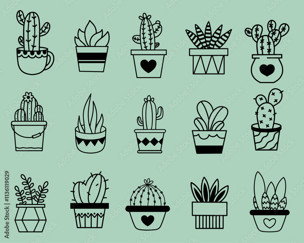 Cactus Cactus