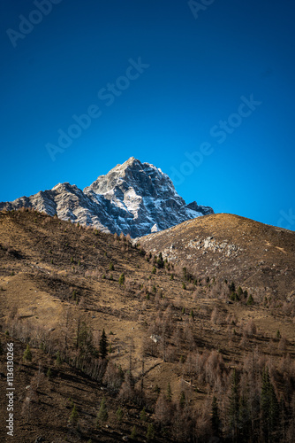 landscape with blue sky