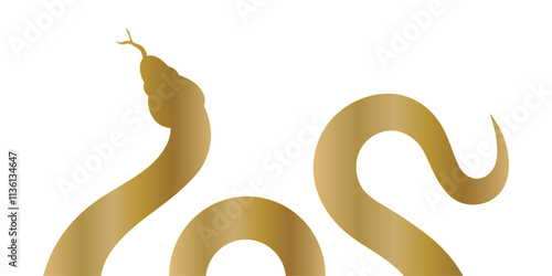Golden Snake. Chinese snake ornament. Year of snake vector. Chinese New Year Celebration
