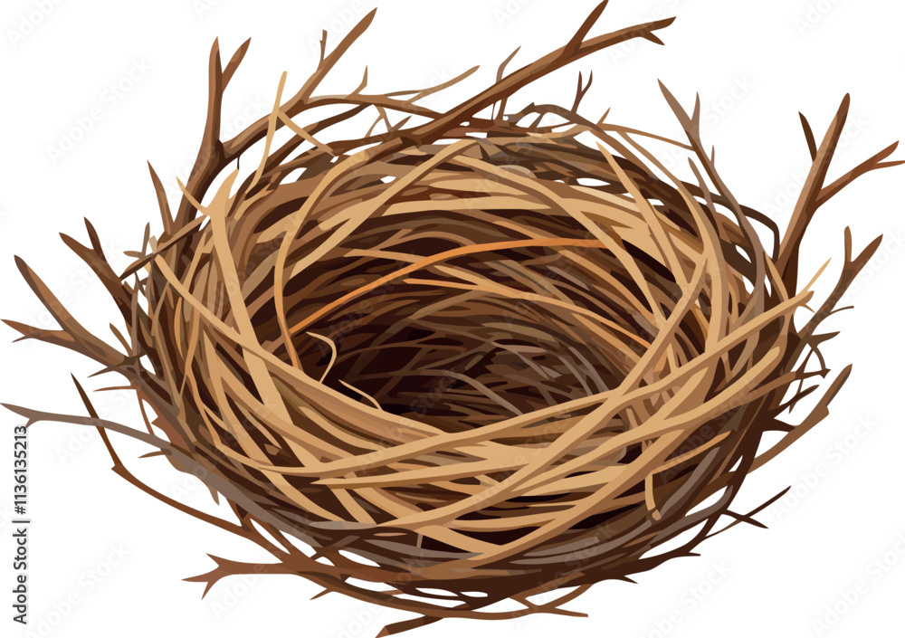 Empty bird nest waiting for eggs on white background Empty bird nest waiting for eggs on white background