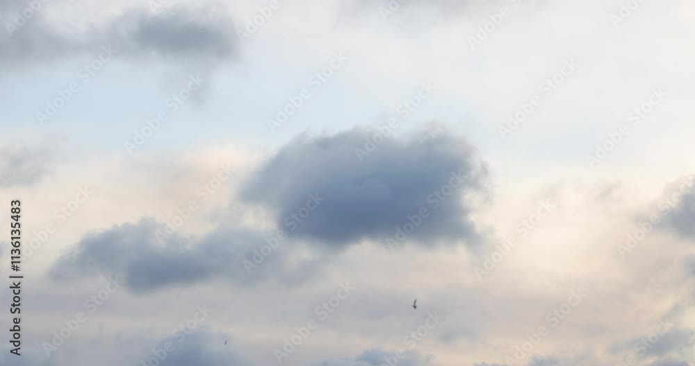 Fluffy Soft Clouds Floating Gracefully Overhead in a Beautifully Serene Sky Above Fluffy Soft Clouds Floating Gracefully Overhead in a Beautifully Serene Sky Above