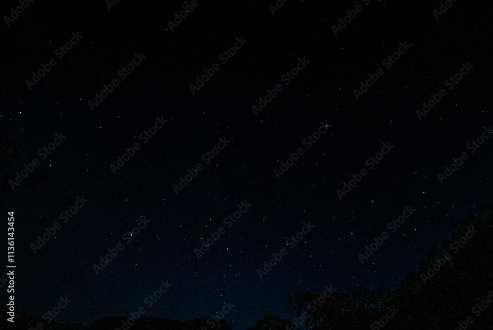 starry night sky starry night sky