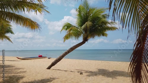 A small fishing boat on the sand of a deserted beach under a palm tree on a sunny day