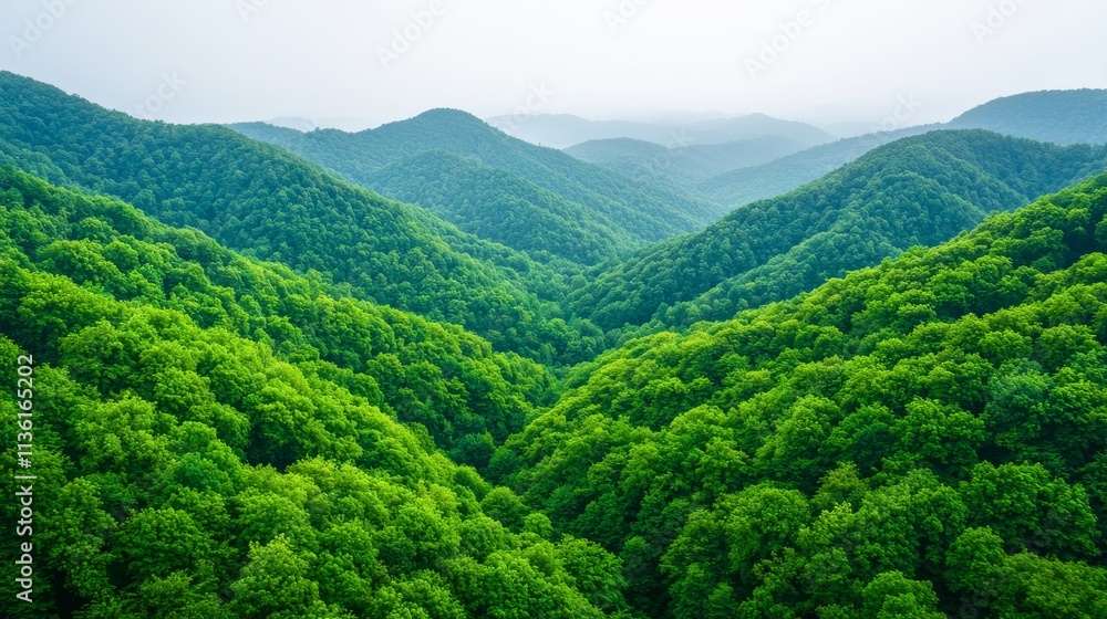 Fototapeta premium climate change global warming reforestation concept. Lush green mountains under a misty sky create a serene landscape.