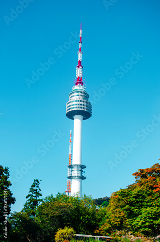 Canvas Print Autumn at Namsan Mountain Seoul Tower, a popular tourist destination