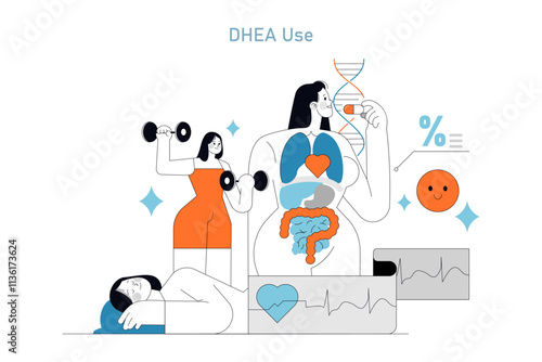 DHEA Supplement. Flat Vector Illustration