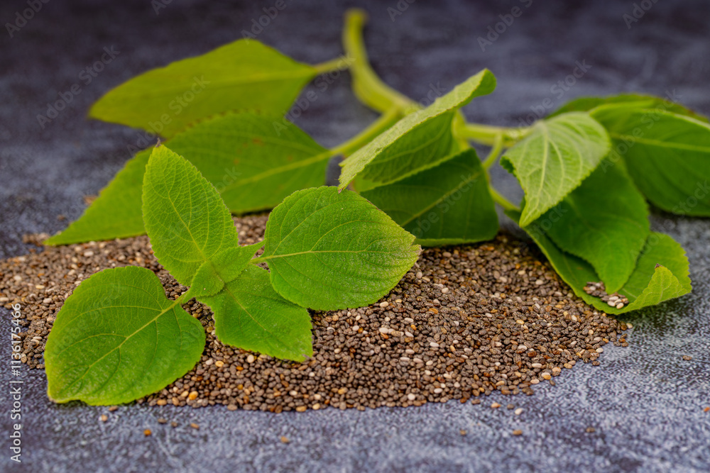 Chia plant and chia seeds are a flowering plant from the mint family, native to central and southern Mexico.