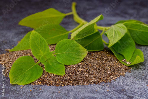 Chia plant and chia seeds are a flowering plant from the mint family, native to central and southern Mexico.
