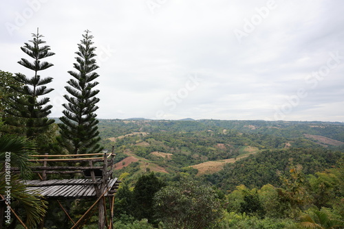It is a picture of a wooden balcony on the left with two pine trees and a mountain with many trees in the background.
