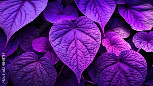 Vibrant purple leaves, Intricate leaf veins, Glowing neon foliage, Macro photography, Dark background, Bioluminescent plants, Ultraviolet flora, Alien botanical, Psychedelic nature, High contrast, Sat