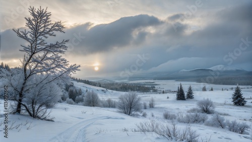 Wallpaper Mural Winter landscape with frosted trees and a soft sunset behind cloudy skies Torontodigital.ca