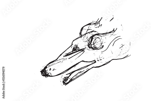 Russian Hunting Sighthound hand-drawing sketch. Minimalist ink drawing of dog Borzoi. Gazehounds line art. Hound dog illustration. Black graphics for Dog breeding business.