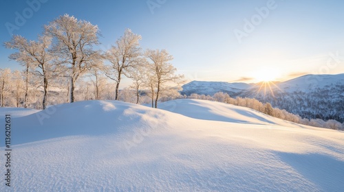 Beautiful winter sunrise over snow-covered hills with trees in a serene landscape