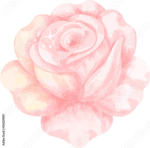 Pastel Pink Rose with Dewdrops