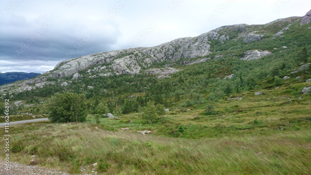 Fototapeta premium Above the fjords 