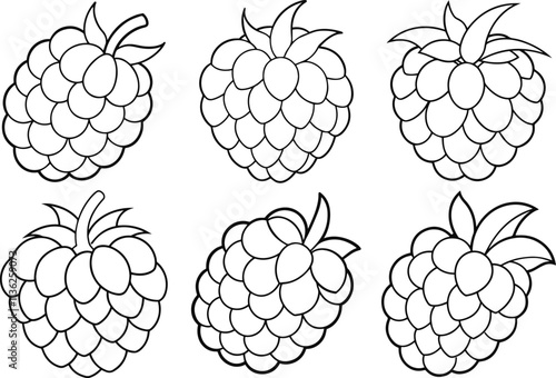 Set of raspberry outline vector illustration with leaves  